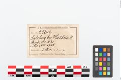 Etikett zu Bronzearmreif (NHMW-PRAE-025612)